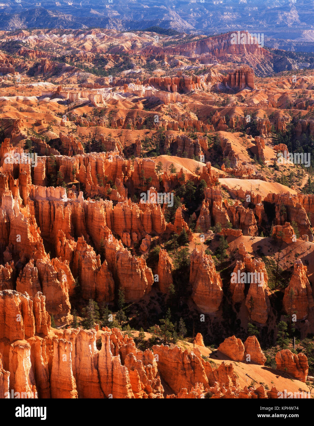 USA, Utah, Bryce Canyon National Park, Rock hoodoos from inspiration point (Large format sizes available) Stock Photo