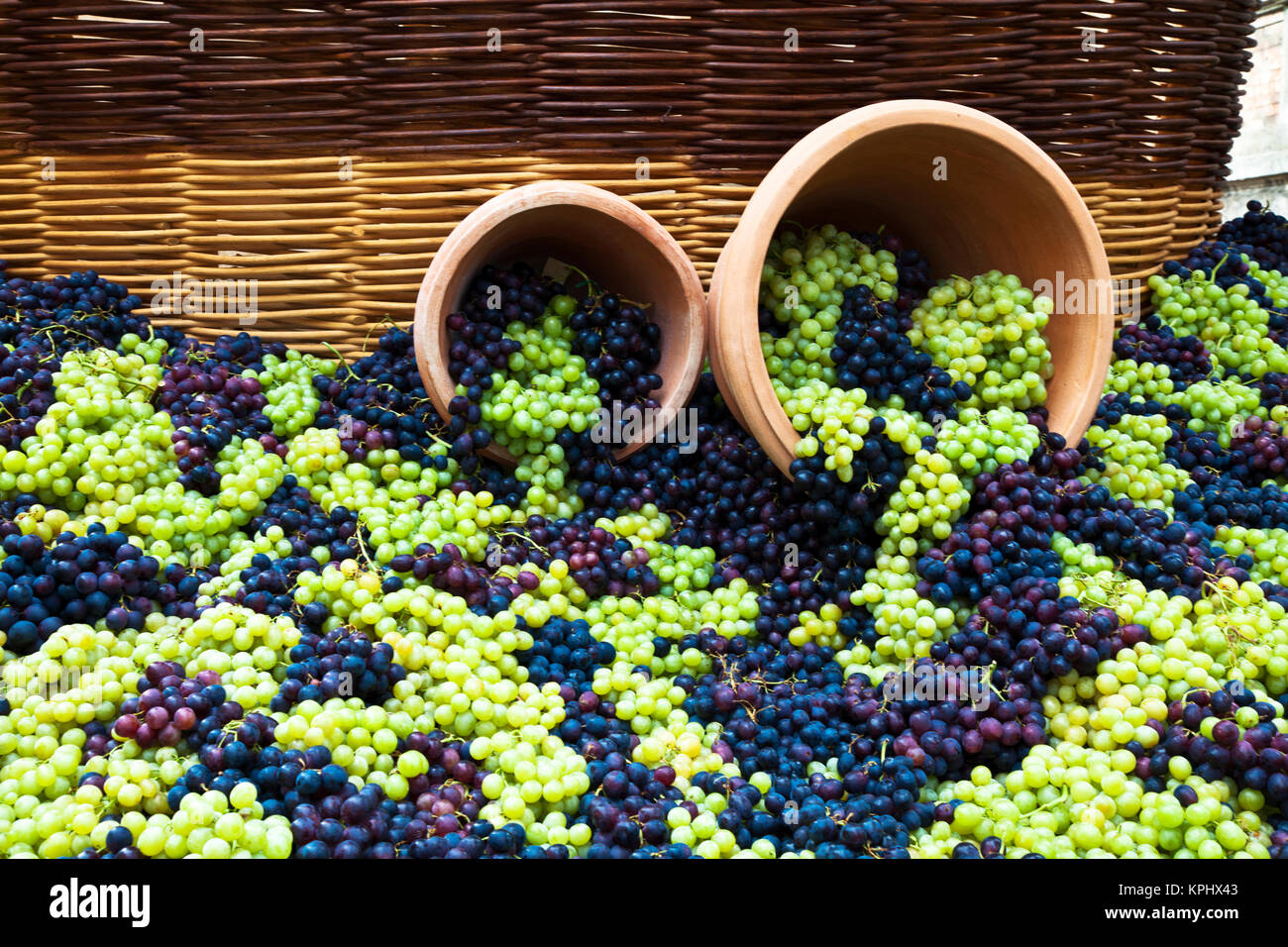 Wine Festival Celebration Stock Photos & Wine Festival Celebration