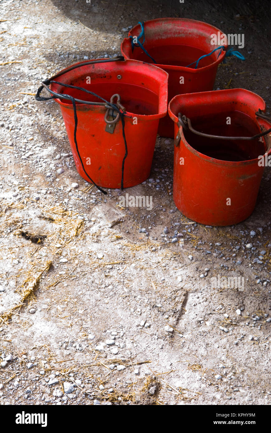 three red buckets filled with water destined for various circus animals Stock Photo