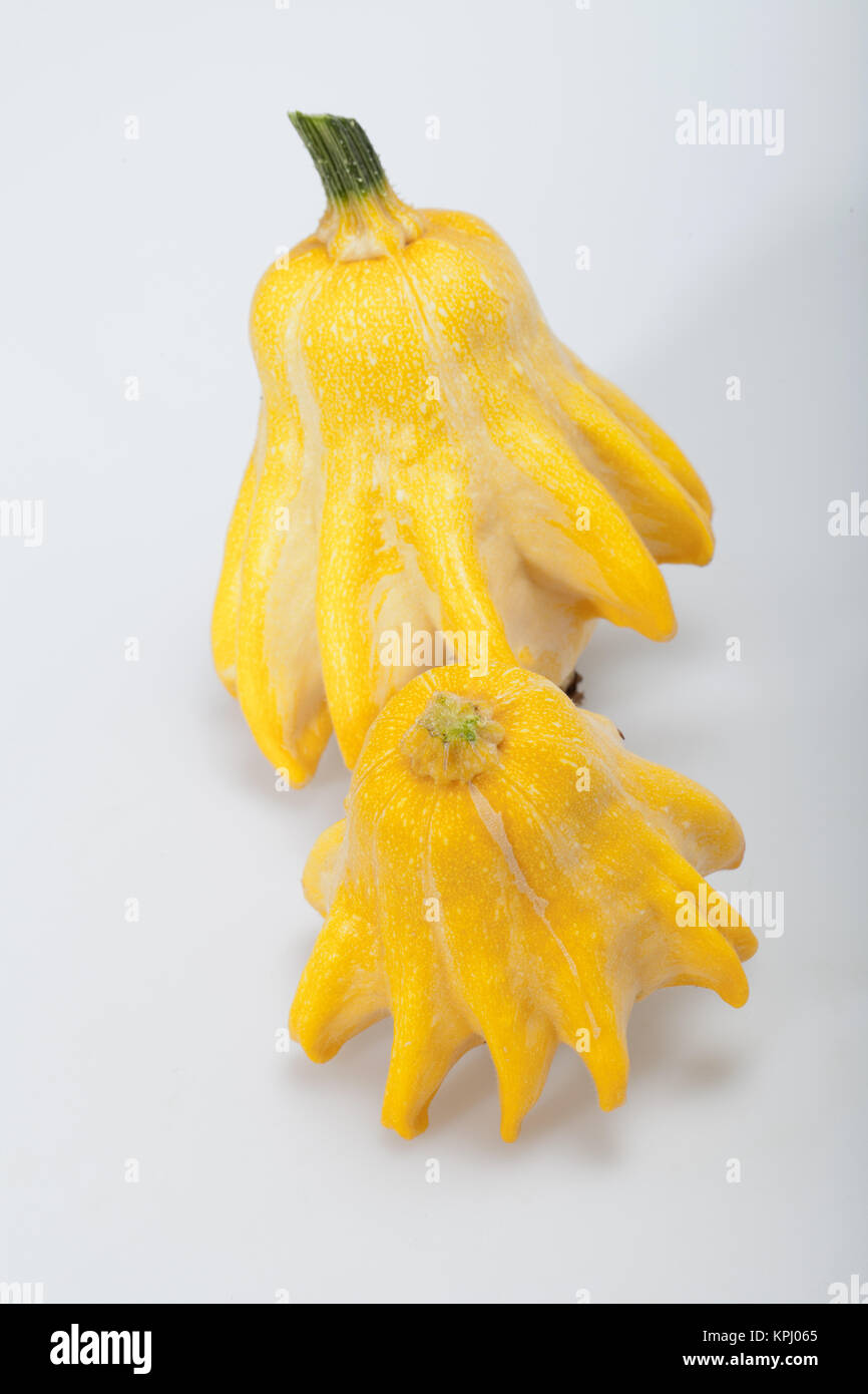 Decorative pumpkin isolated on white background Stock Photo - Alamy