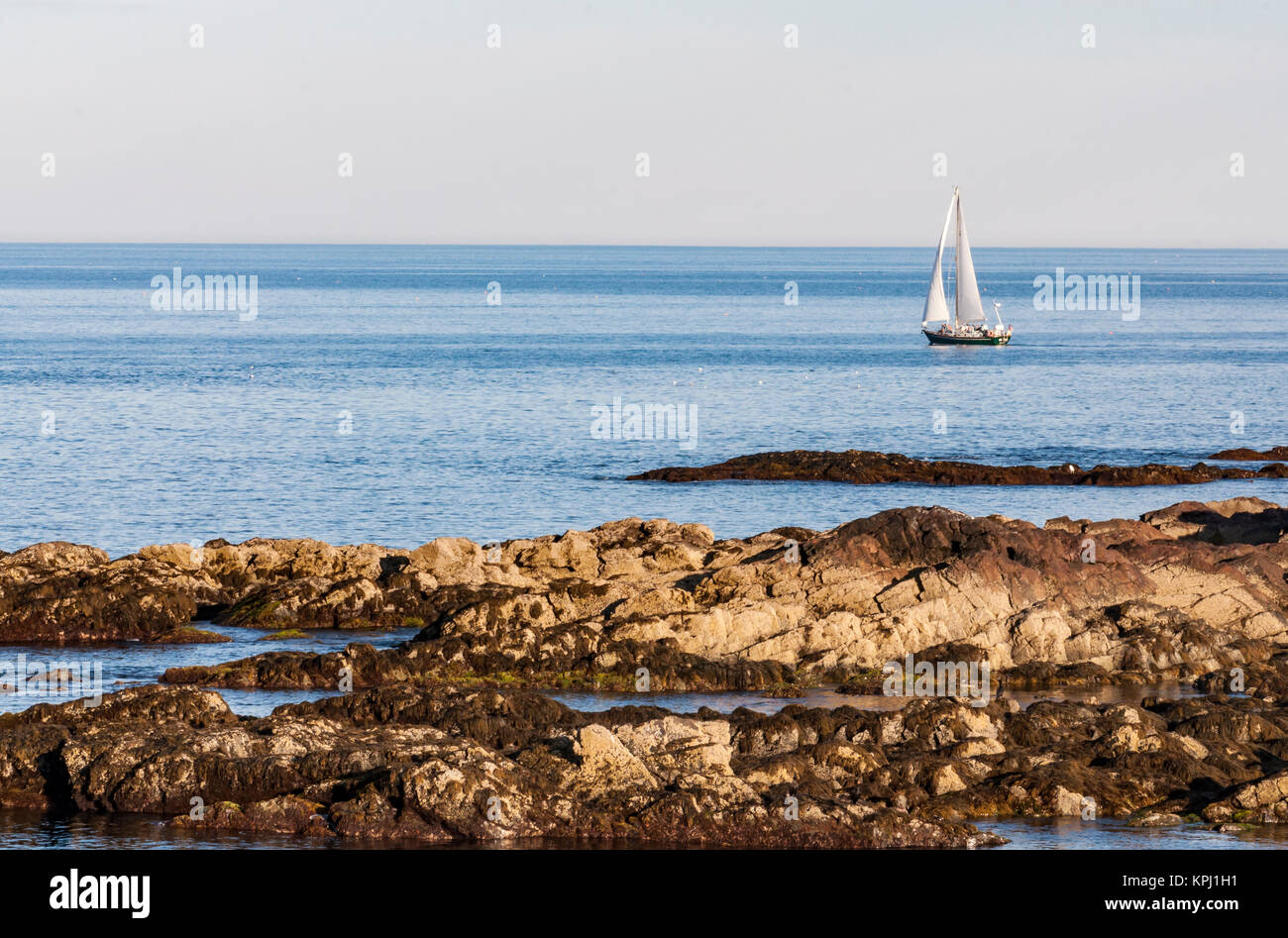 Sailing near coast of Atlantic ocean in Maine, USA Stock Photo