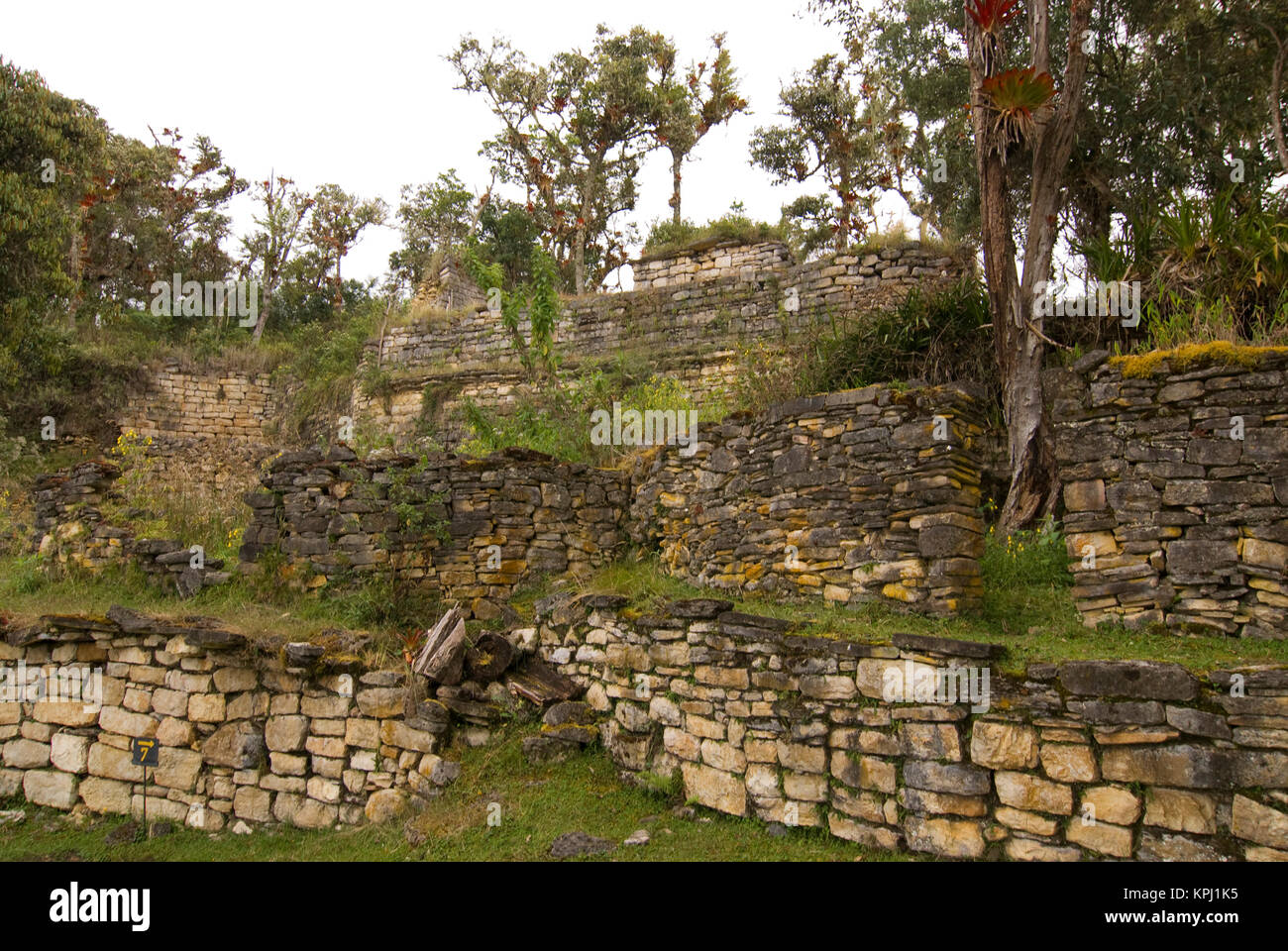 Peru. Andes Mountains. Amazonas Province. Upper Amazon. Cloud forest ...
