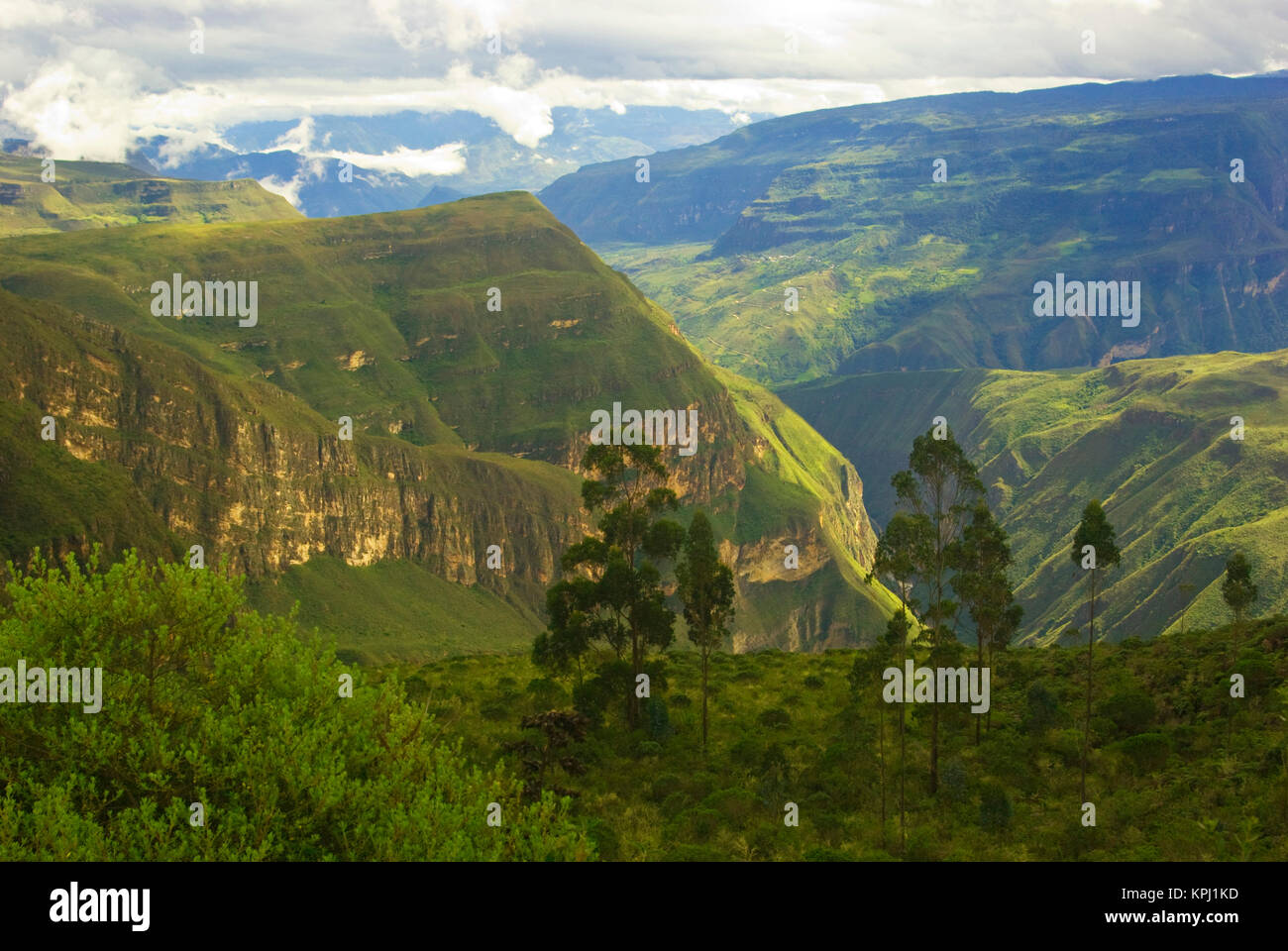 Peru. Andes Mountains. Amazonas Province. Upper Amazon. Near Lemeybamba ...