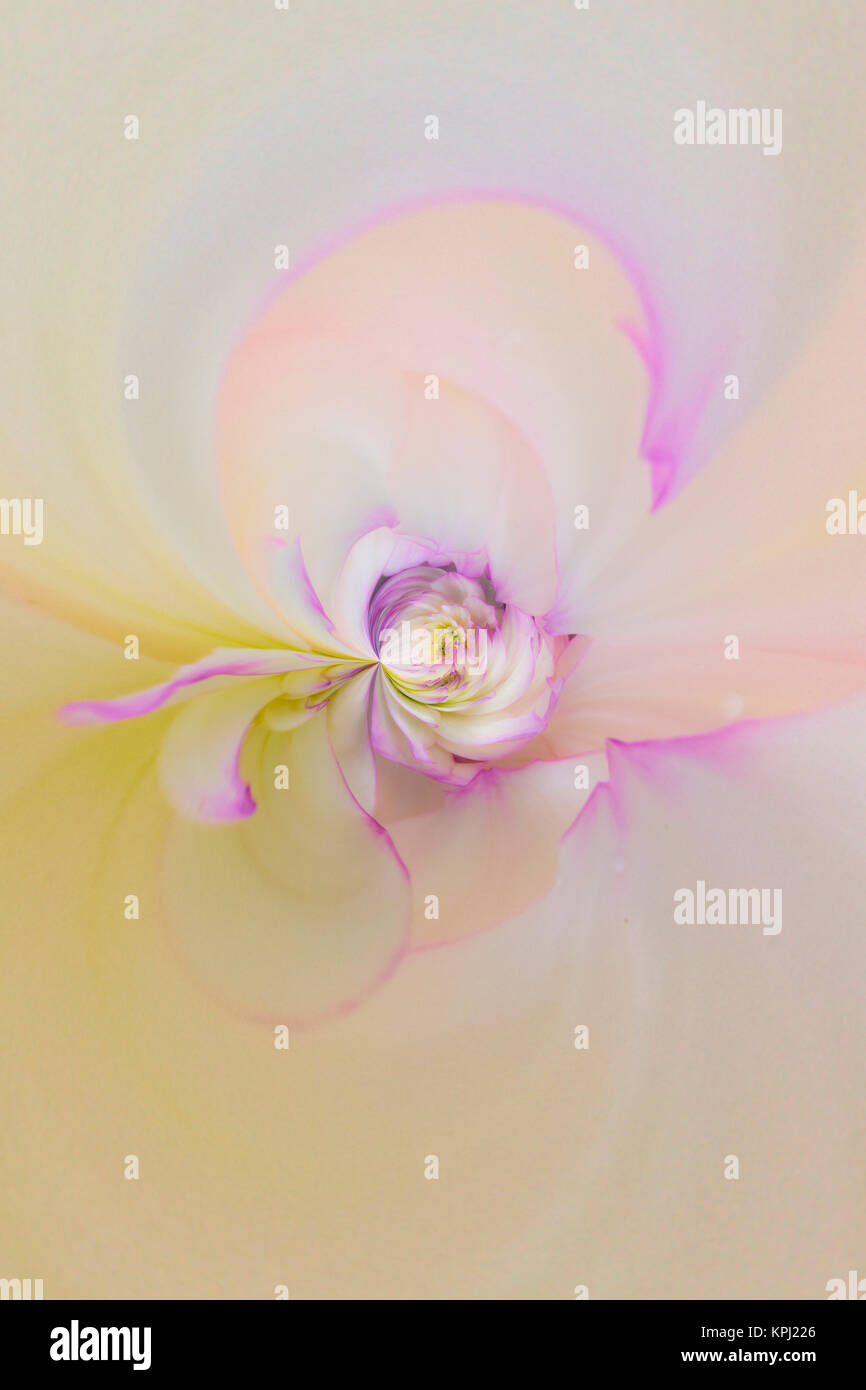 Alabama Flower High Resolution Stock Photography And Images Alamy