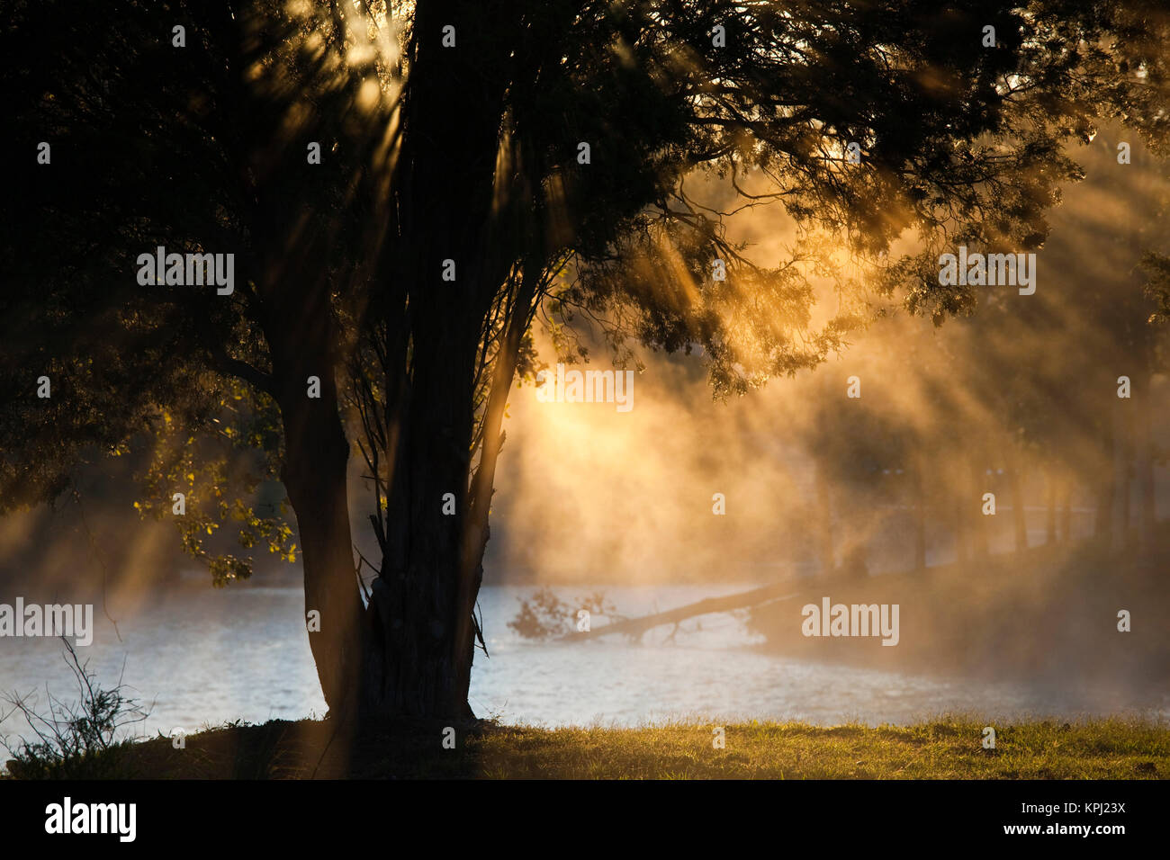 USA, Alabama, Florence. Lake Wilson, morning fog Stock Photo Alamy