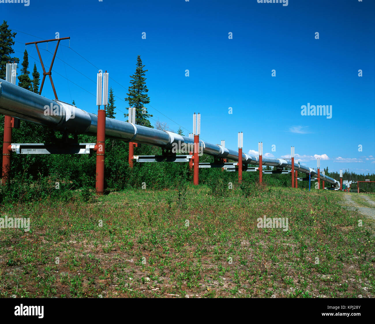 USA, Alaska, Trans Alaska crude oil pipeline and distant Mt Wrangell (Large format sizes available) Stock Photo