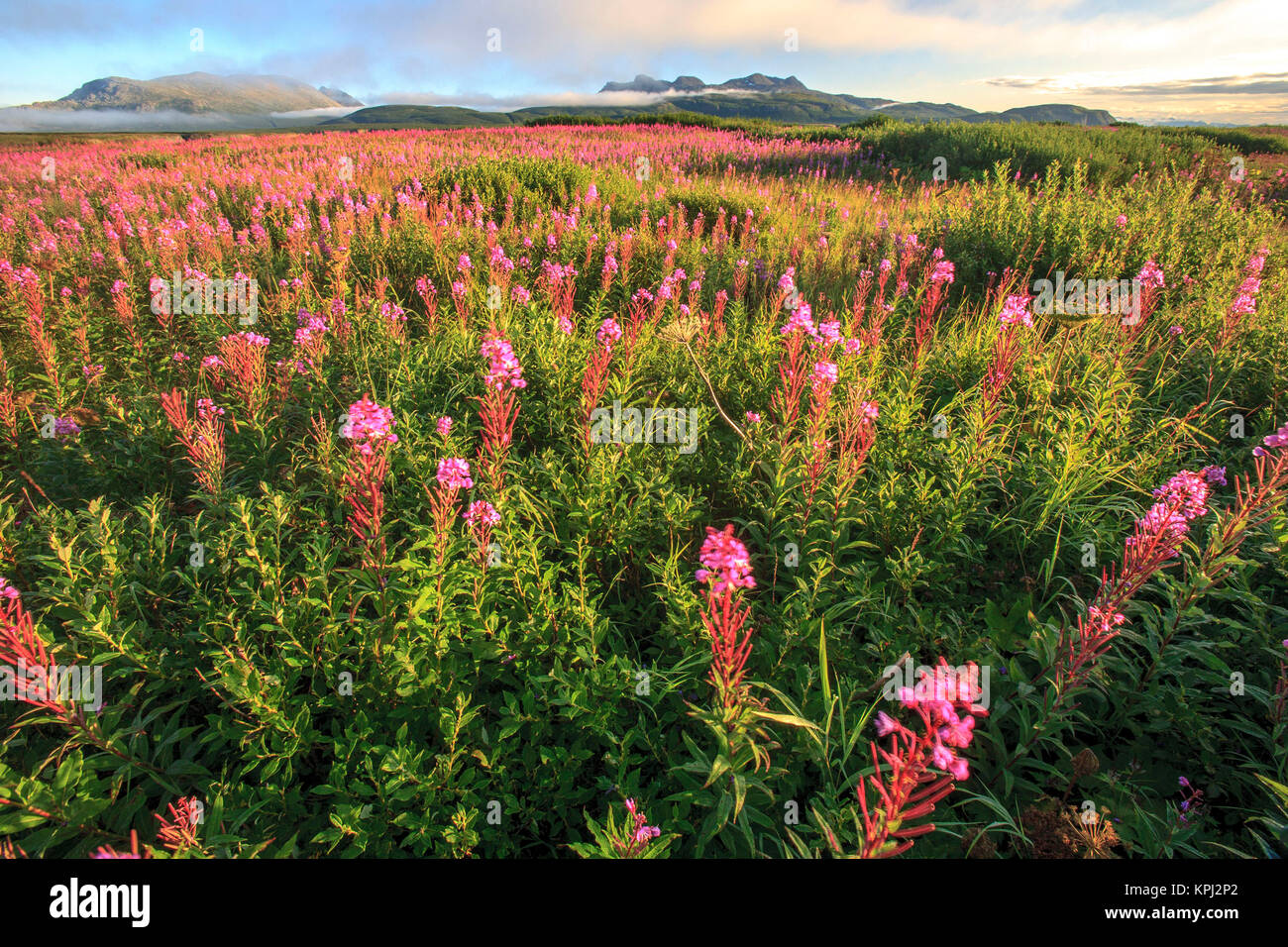 Mcneil river hires stock photography and images Alamy