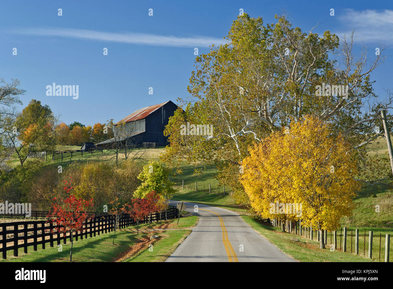 Lexington kentucky bluegrass hi-res stock photography and images - Alamy