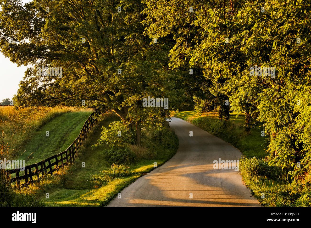 Rural road and fence at sunrise, Oldham County, Kentucky Stock Photo