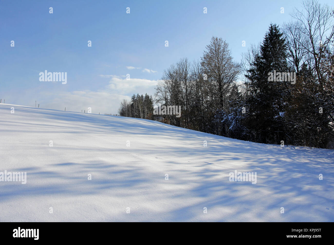 snowy meadows and fields. meadows and fields in winter Stock Photo
