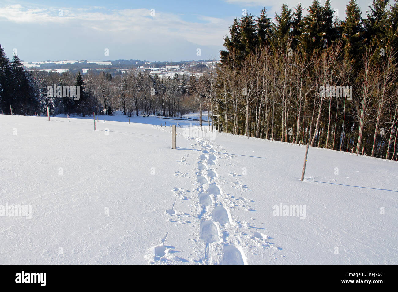 snowshoe tracks in the snowy landscape. winter sports in bavaria Stock Photo