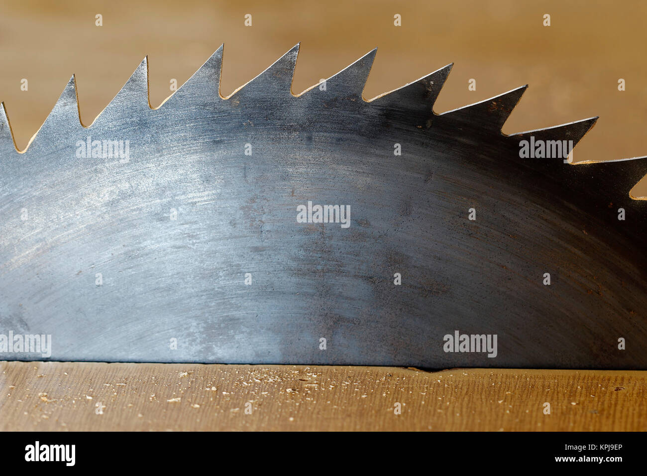 Detail of the circular saw Stock Photo Alamy