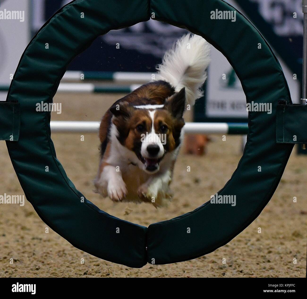 London, UK. 15th Dec, 2017. London Olympia International Horse Show The