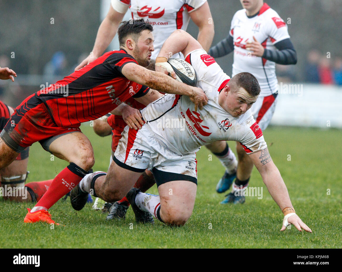 Hartpury rfc hi-res stock photography and images - Alamy