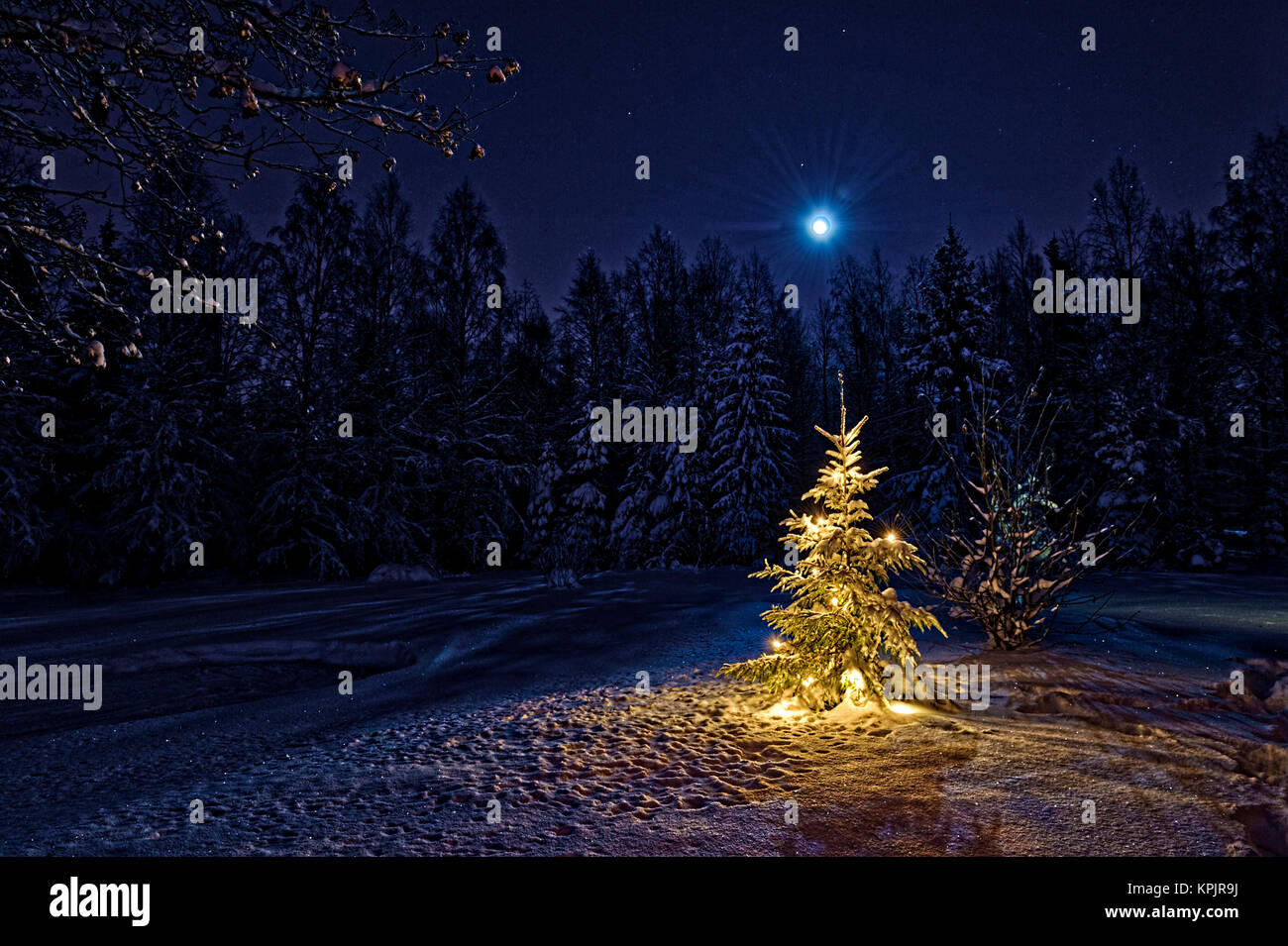 Illuminated christmas tree and a full moon Stock Photo