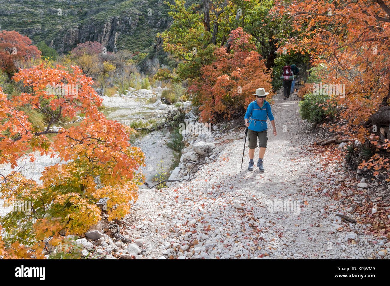 Guadalupe Mountains National Park, Texas - Autumn hikers in McKittrick Canyon. Stock Photo