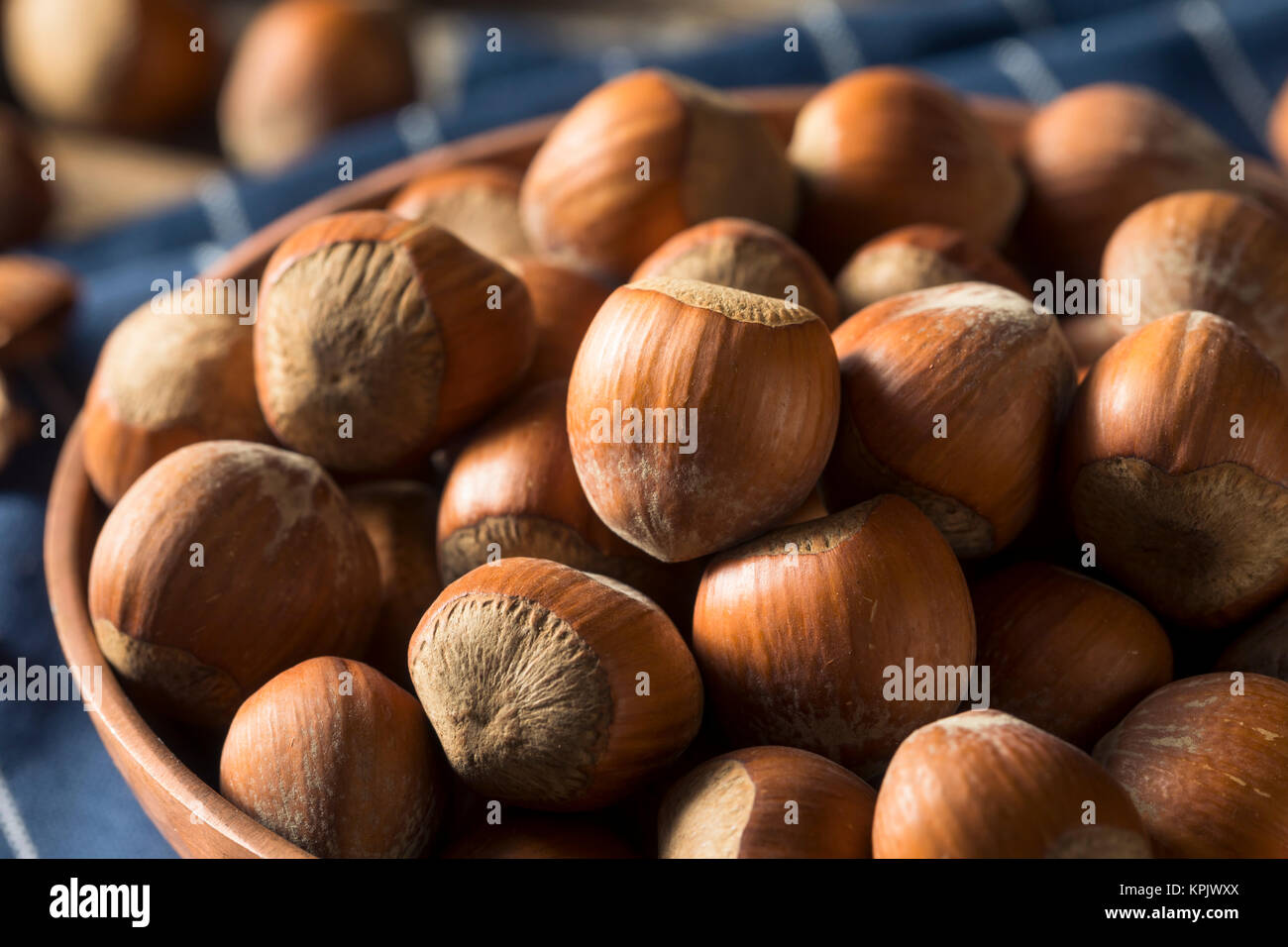 Raw Brown Organic Shelled Hazelnut Filberts Ready to Crack Stock Photo Alamy