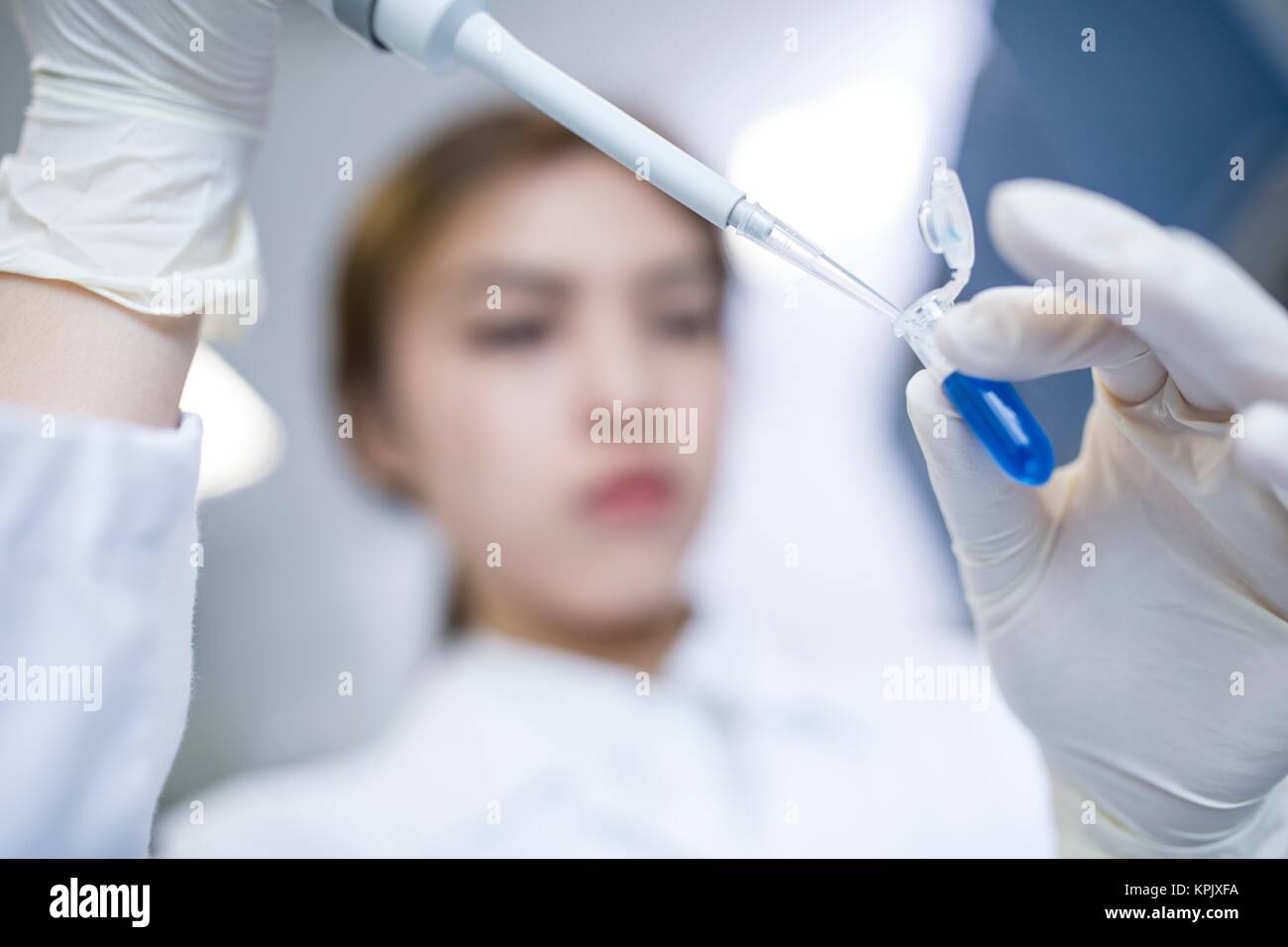 Female lab assistant using pipette, close up. Stock Photo