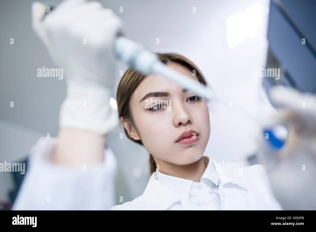 Female lab assistant using pipette, close up Stock Photo Alamy