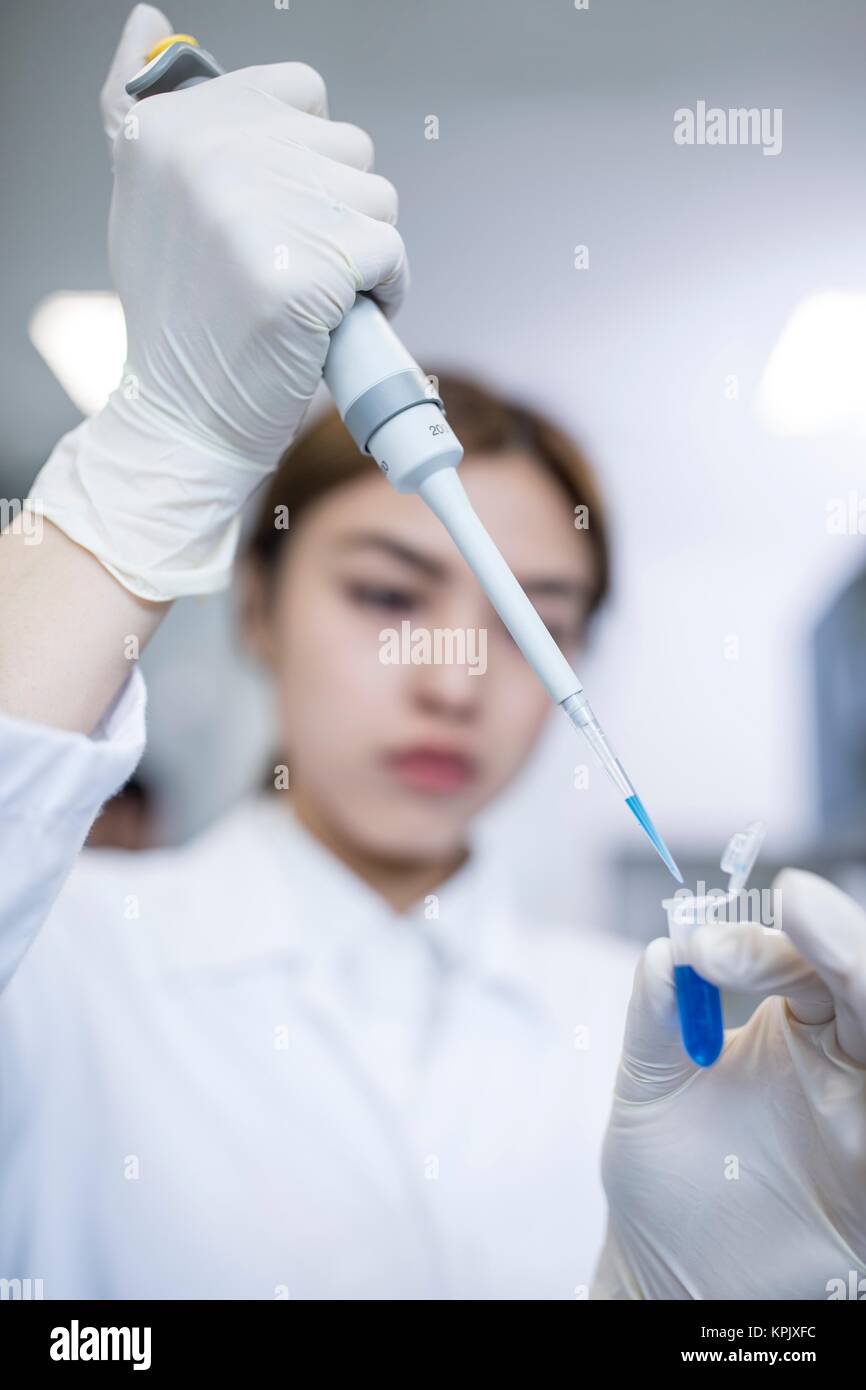 Female lab assistant using pipette, close up. Stock Photo