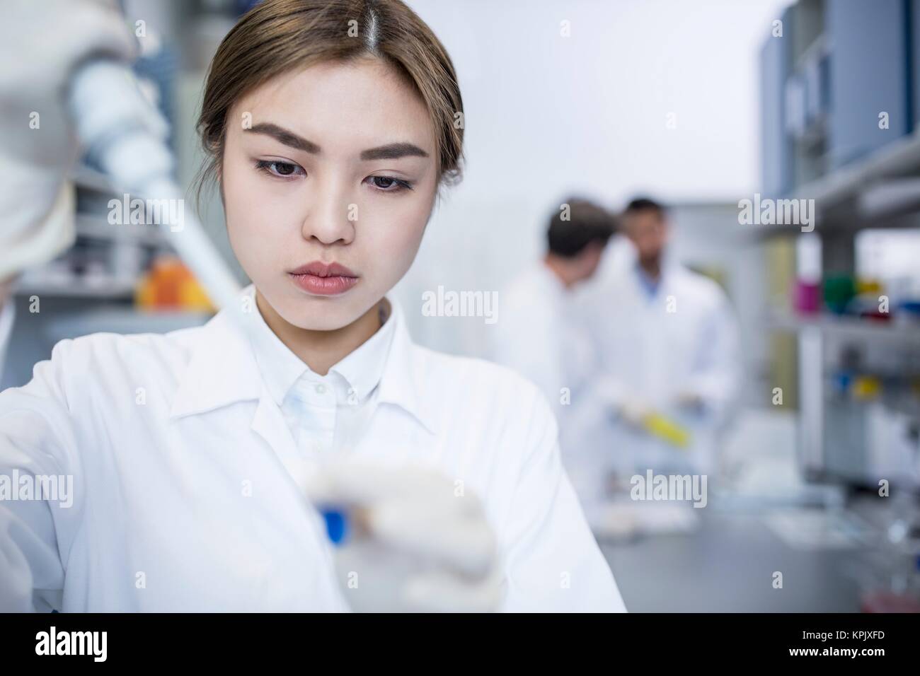 Female scientist working in laboratory. Stock Photo