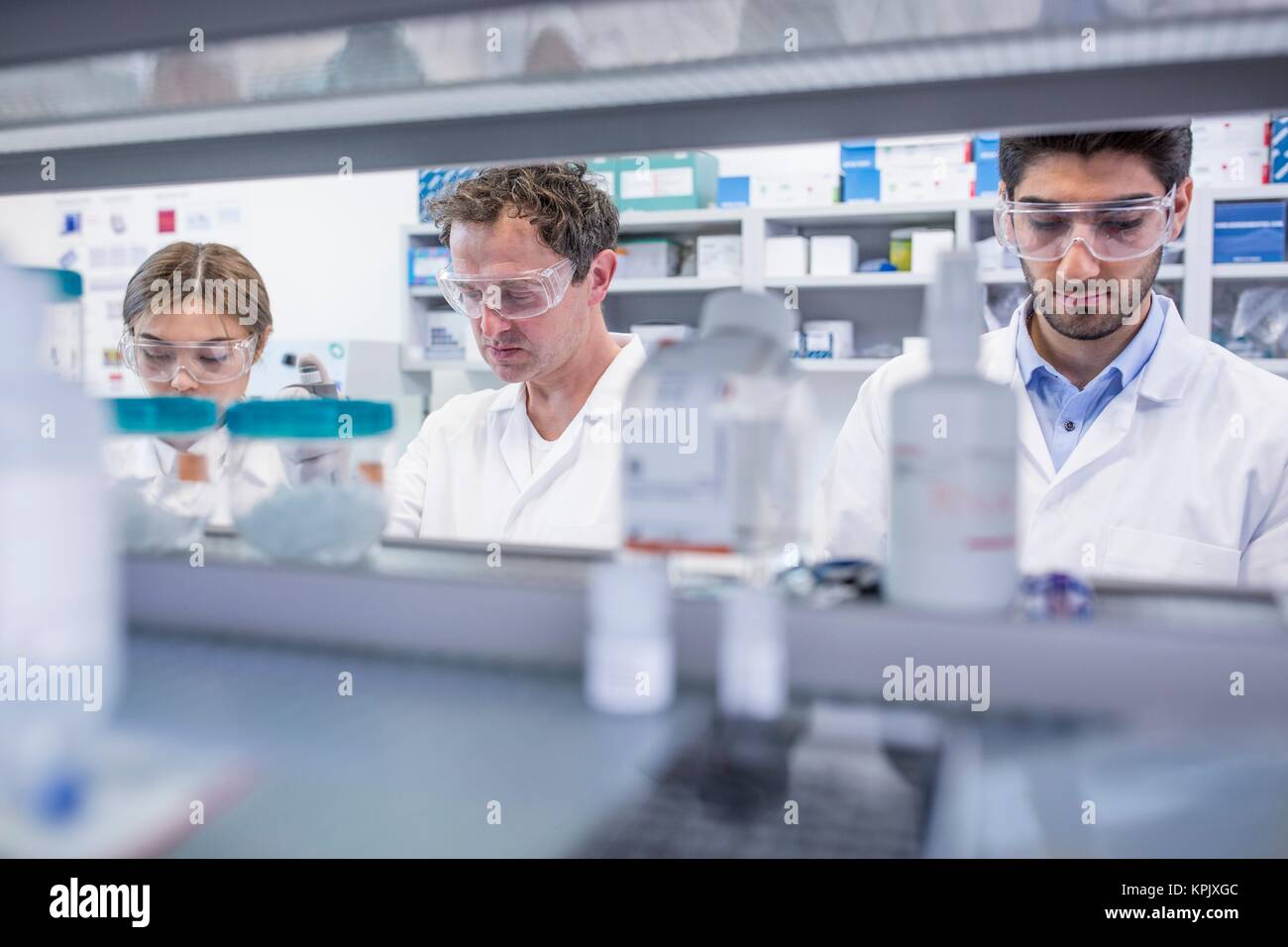 Laboratory assistants working in the lab Stock Photo Alamy