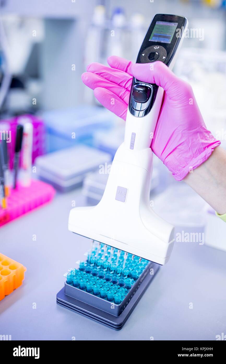 Laboratory assistant using a multichannel pipette. Stock Photo