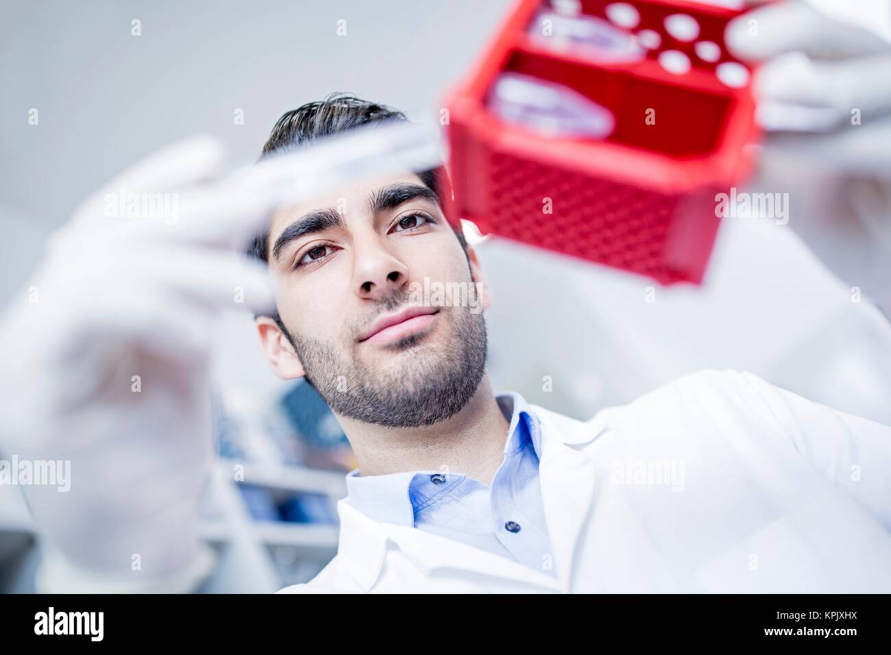 Male laboratory assistant holding test tube rack. Stock Photo