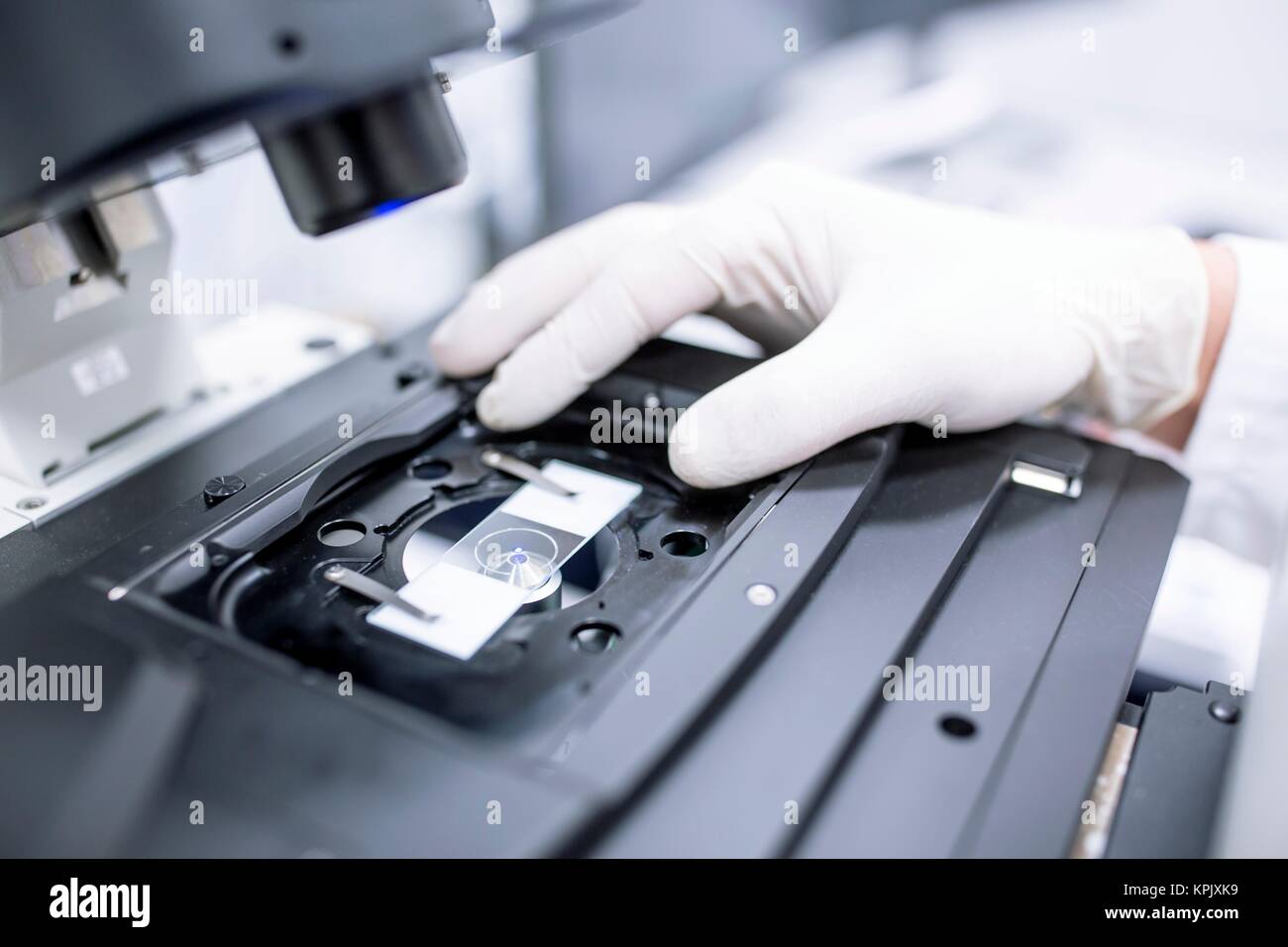 Scientist wearing latex glove adjusting microscope slide. Stock Photo