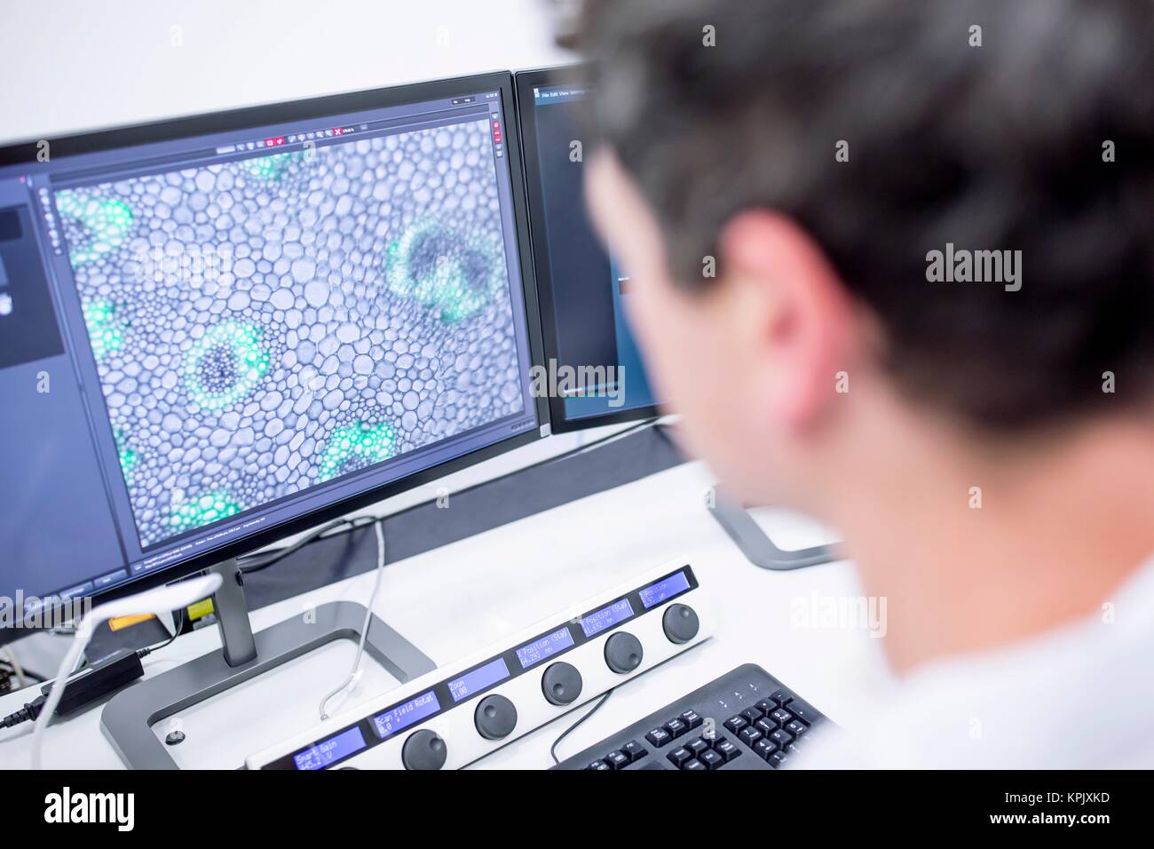 Male scientist using computer, close up. Stock Photo
