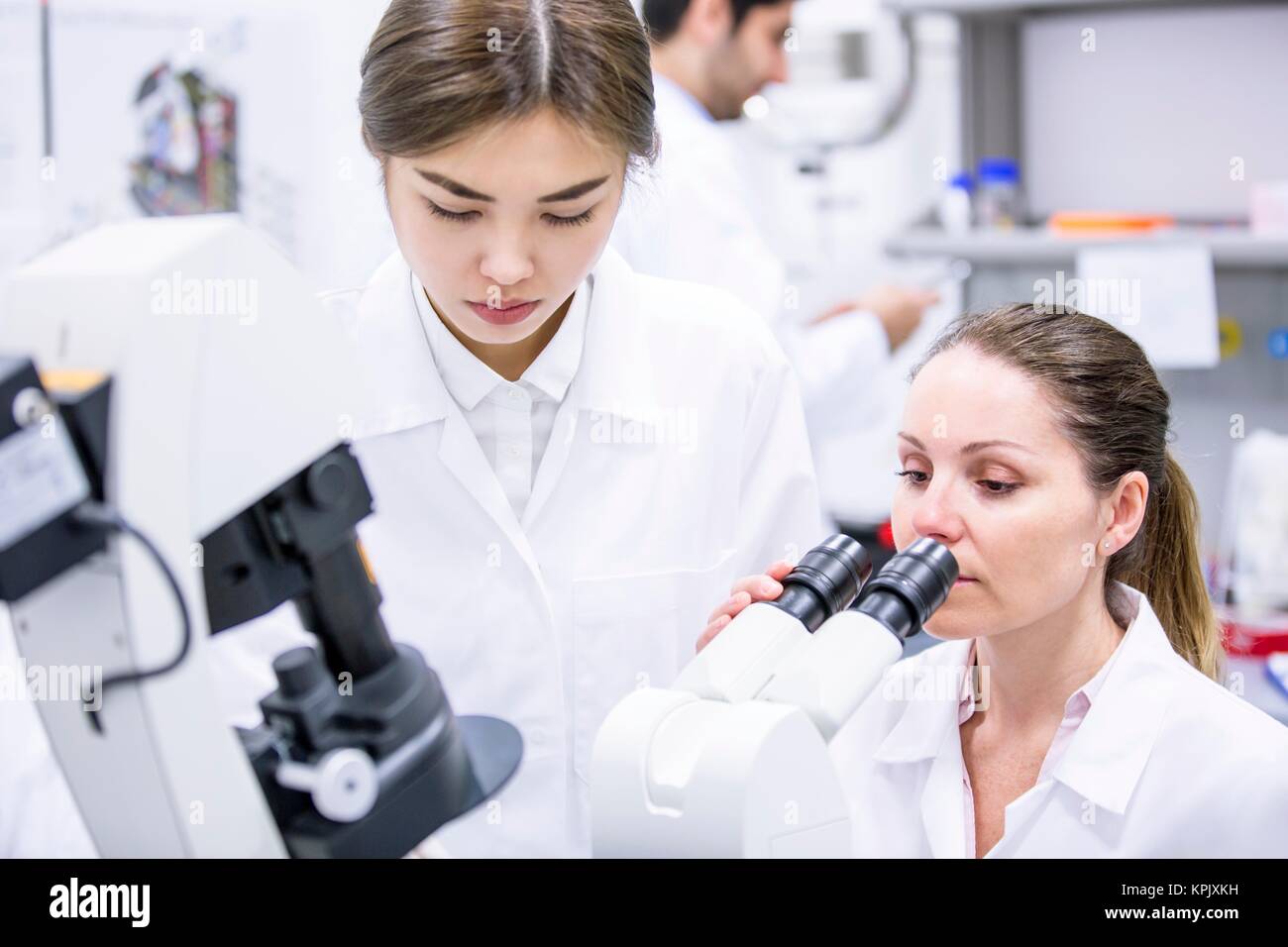 Female scientists working in laboratory. Stock Photo