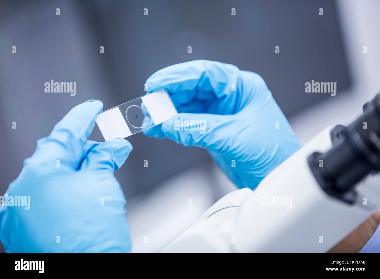 Scientist holding microscope slide, close up. Stock Photo