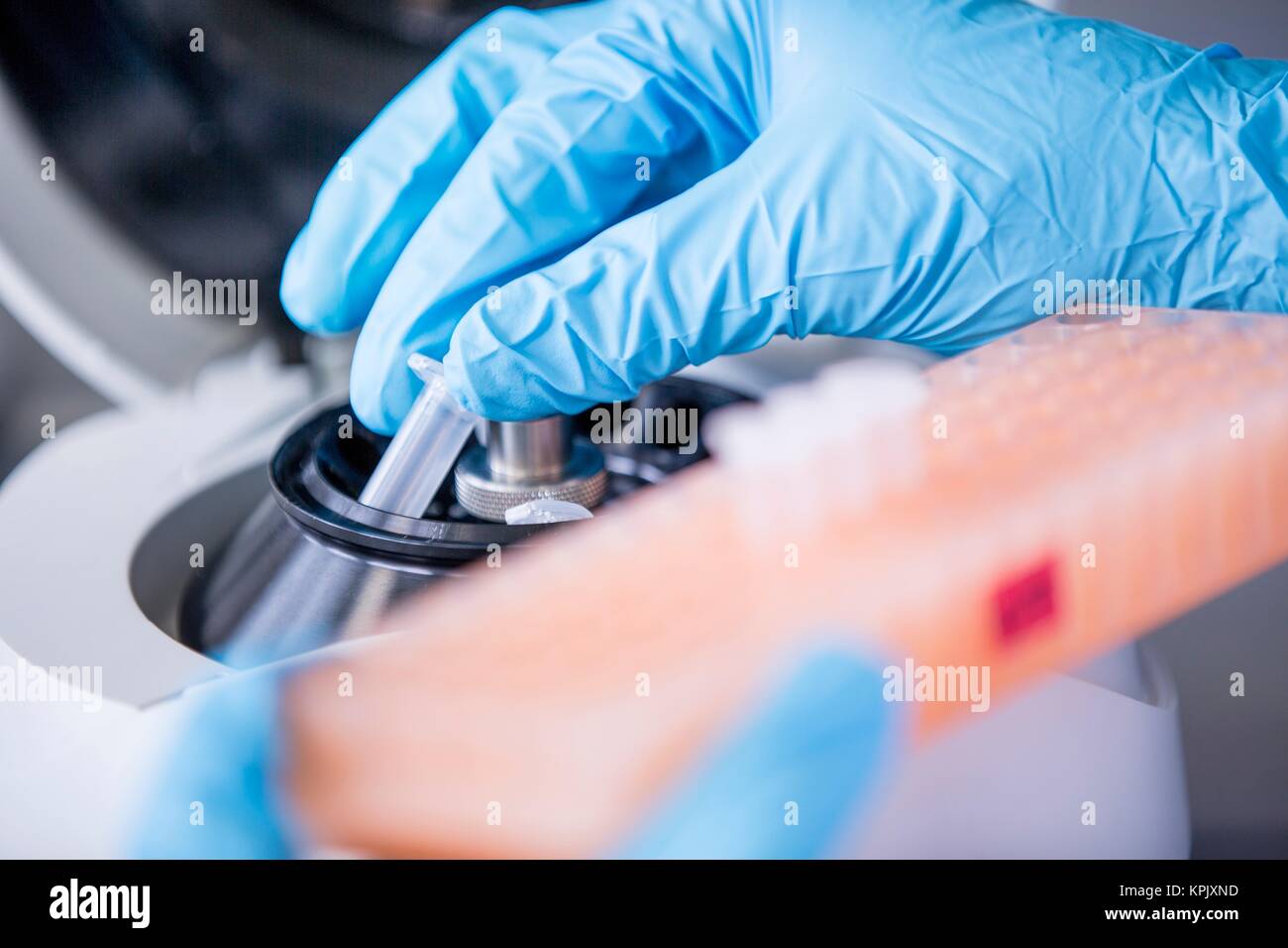 Scientist using specialist equipment in laboratory. Stock Photo