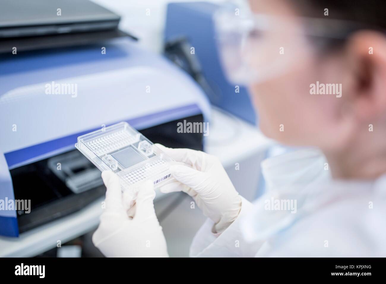 Scientist using specialist equipment in laboratory. Stock Photo