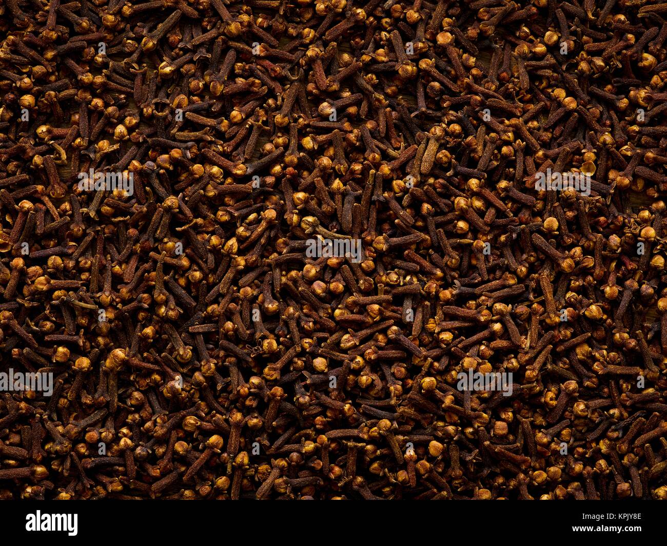 Cloves, studio shot. Stock Photo
