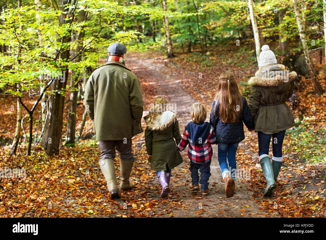Family walking in woods in Autumn. Stock Photo
