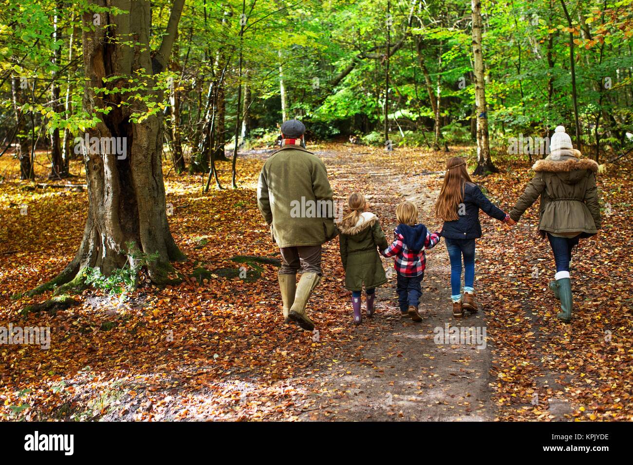 Family walking in woods in Autumn. Stock Photo