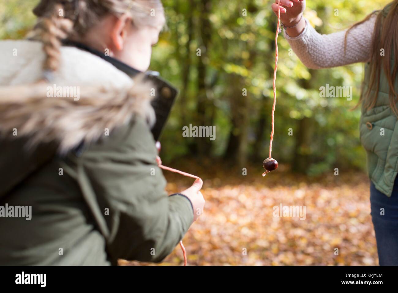 Children playing conkers hi-res stock photography and images - Alamy