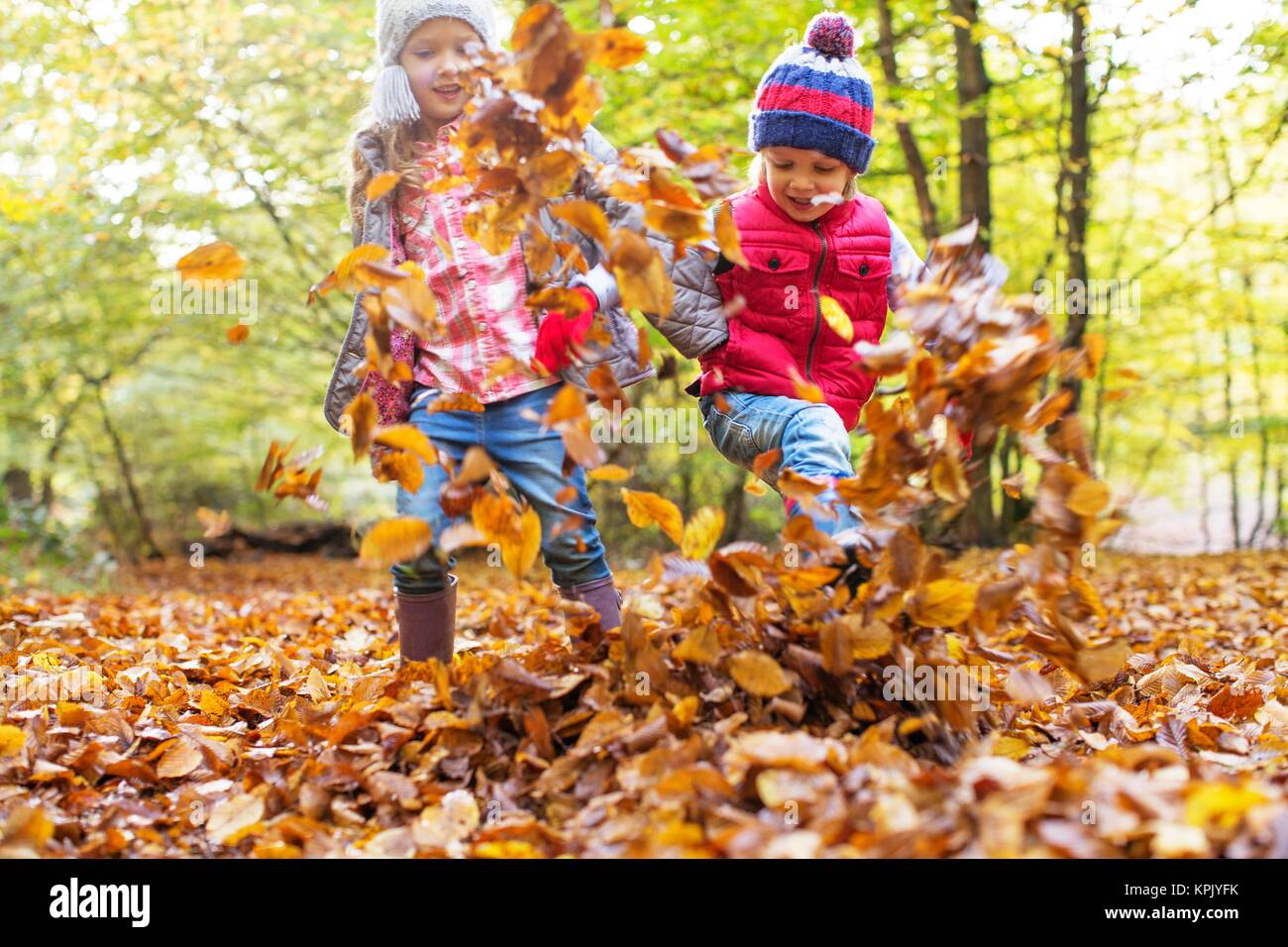Children playing in Autumn leaves Stock Photo - Alamy