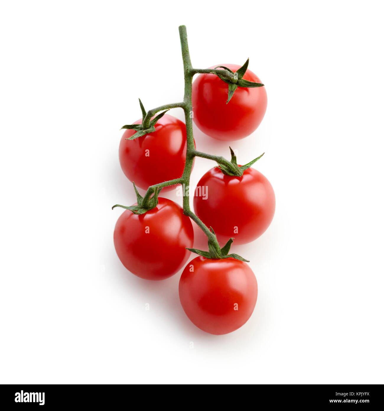 Cherry tomatoes on the vine against a white background Stock Photo - Alamy