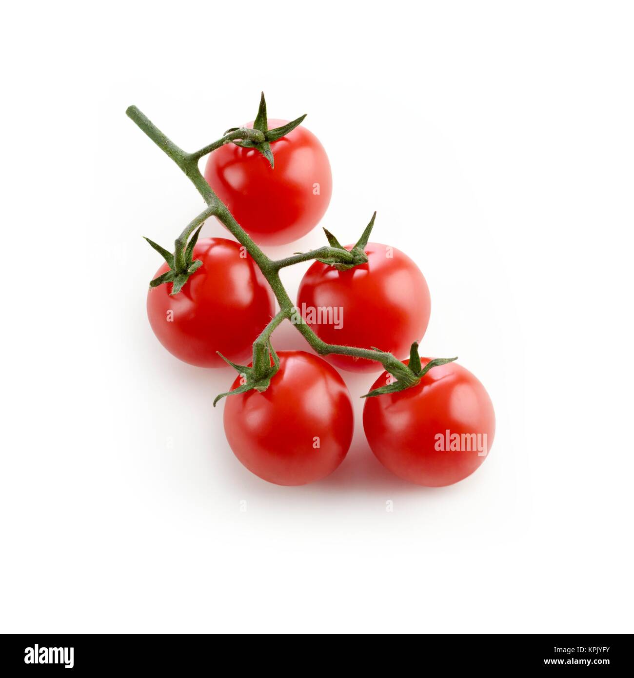 Cherry tomatoes on the vine against a white background Stock Photo - Alamy