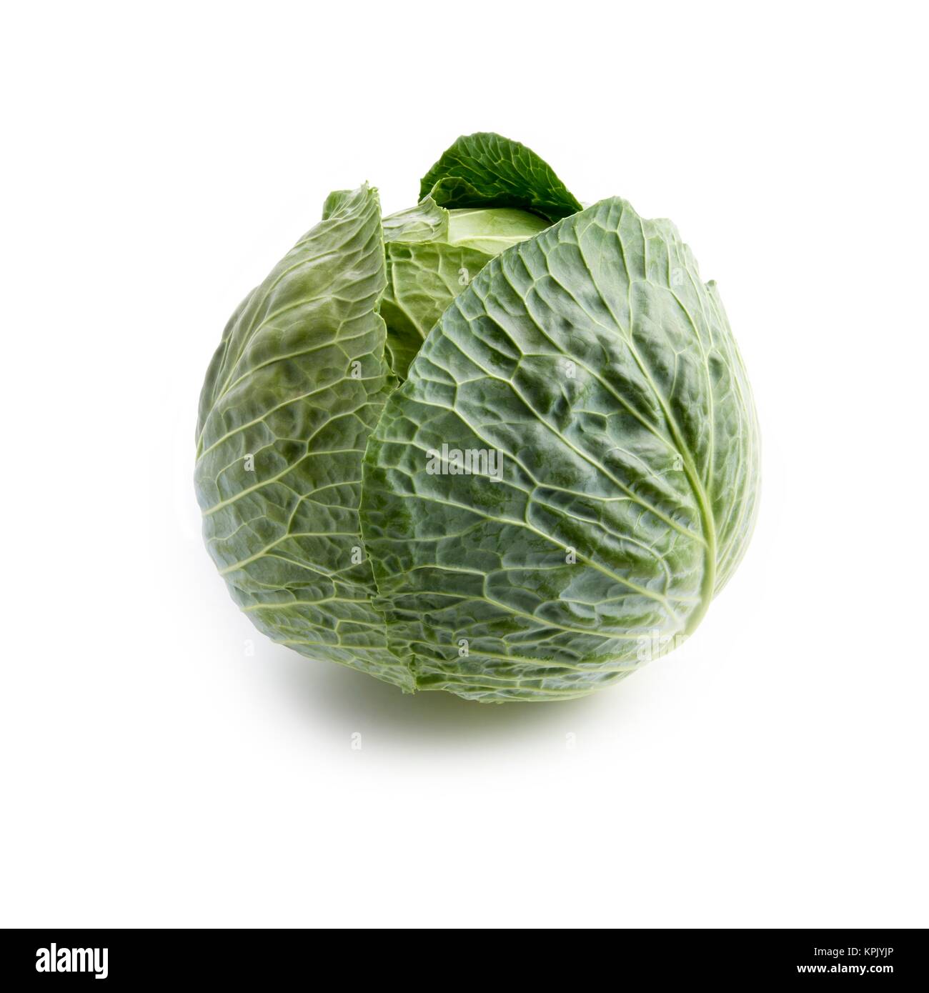 Cabbage white close up hi-res stock photography and images - Alamy