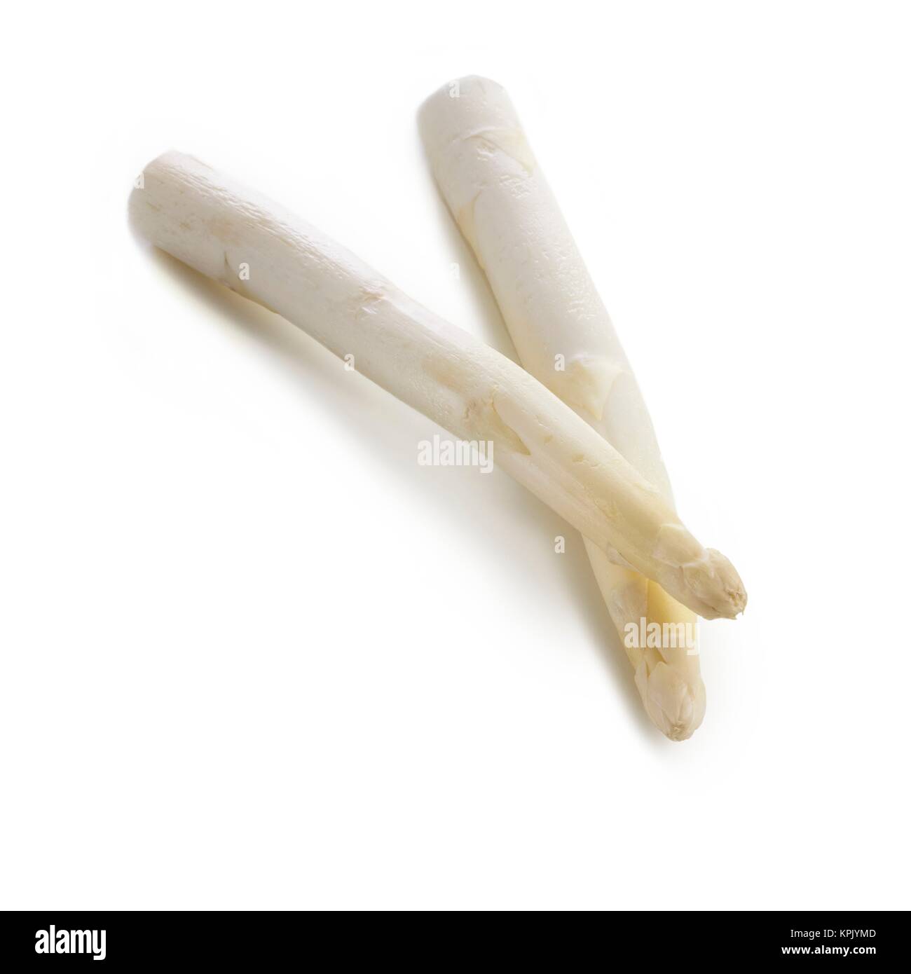 White asparagus a white background. Stock Photo