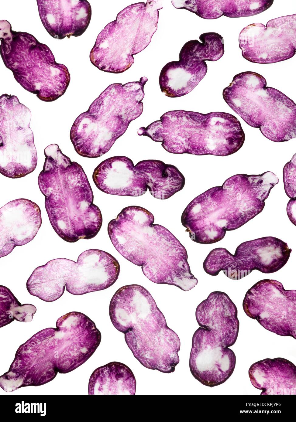 Blue potato halves against a white background. Stock Photo