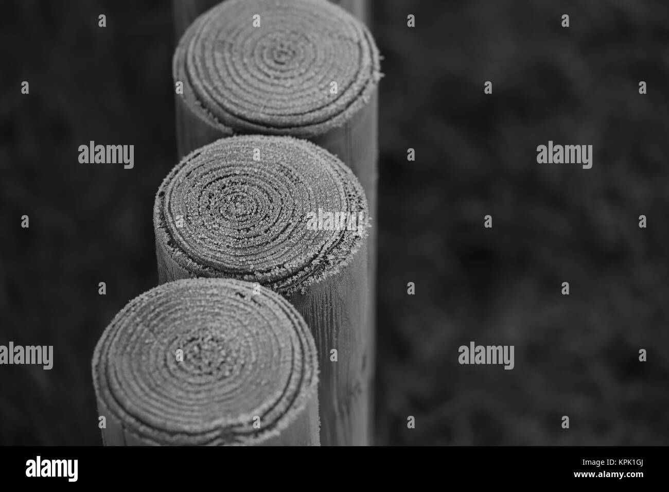 frost on wooden columns Stock Photo