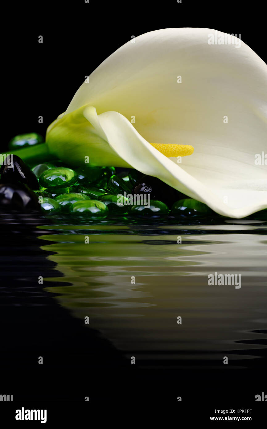 White lily spa hi-res stock photography and images - Alamy