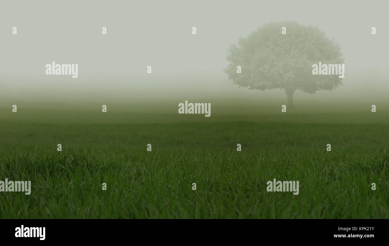 Heavy Mist Heavy fog mist hi-res stock photography and images - Alamy