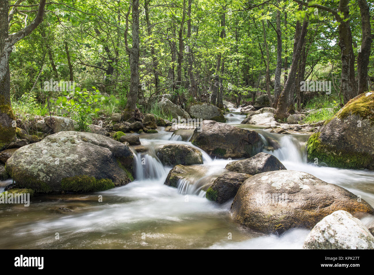 Nature landscape with trees and river Stock Photo - Alamy