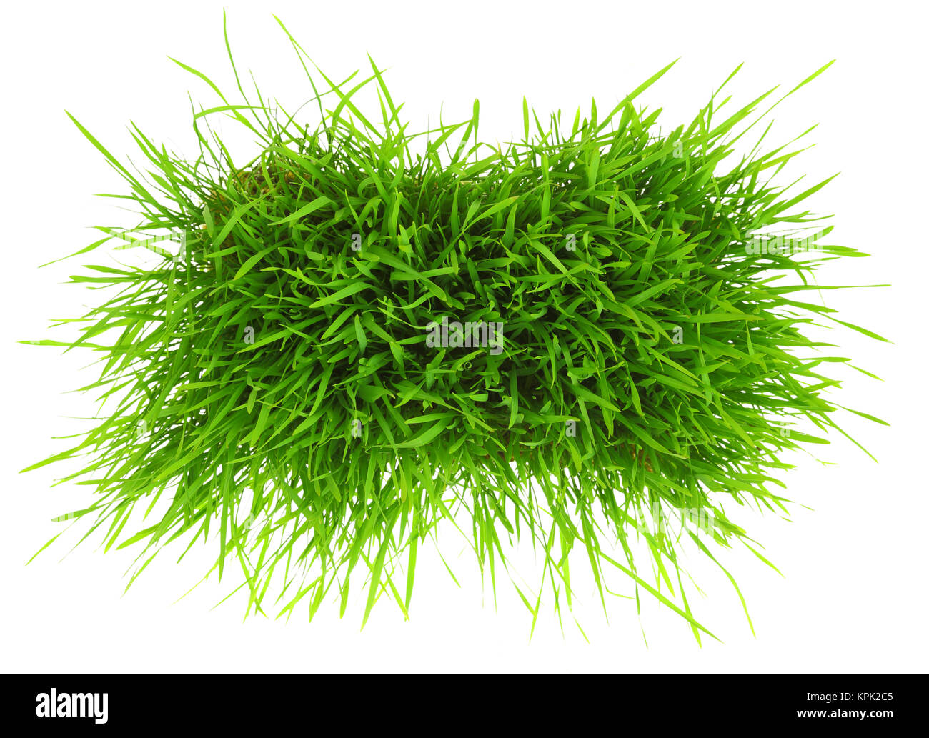 Patch of green grass isolated on white background Stock Photo