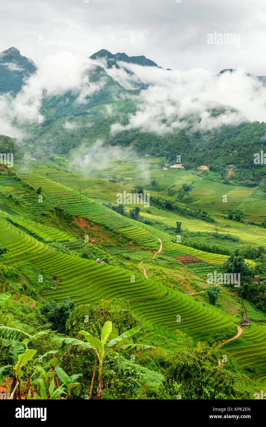 Clouds parting over the rice paddy terraces in Sa Pa Stock Photo